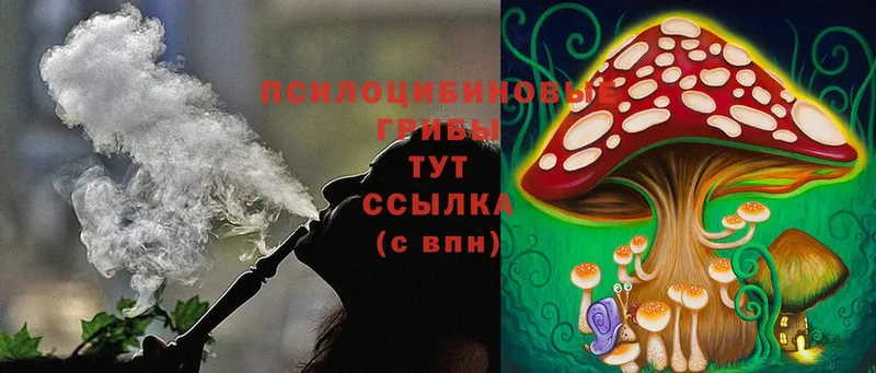 Псилоцибиновые грибы Magic Shrooms  Нолинск 